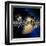 Saturn's Ring System-Detlev Van Ravenswaay-Framed Photographic Print