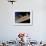 Saturn's Rings-Detlev Van Ravenswaay-Framed Photographic Print displayed on a wall