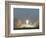 Saturn V Rocket-null-Framed Photographic Print