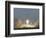 Saturn V Rocket-null-Framed Photographic Print