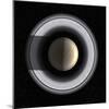 Saturn-Chris Butler-Mounted Premium Photographic Print