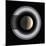 Saturn-Chris Butler-Mounted Premium Photographic Print