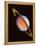 Saturn-null-Framed Premier Image Canvas