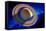 Saturn-Detlev Van Ravenswaay-Framed Premier Image Canvas