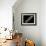 Saturn-null-Framed Photographic Print displayed on a wall