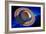 Saturn-Detlev Van Ravenswaay-Framed Photographic Print