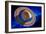 Saturn-Detlev Van Ravenswaay-Framed Photographic Print