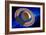 Saturn-Detlev Van Ravenswaay-Framed Photographic Print