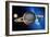 Saturn-Detlev Van Ravenswaay-Framed Photographic Print