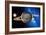 Saturn-Detlev Van Ravenswaay-Framed Photographic Print