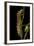 Saturnia Pyri (Giant Peacock Moth, Great Peacock Moth, Large Emperor Moth) - Caterpillar before Pup-Paul Starosta-Framed Photographic Print