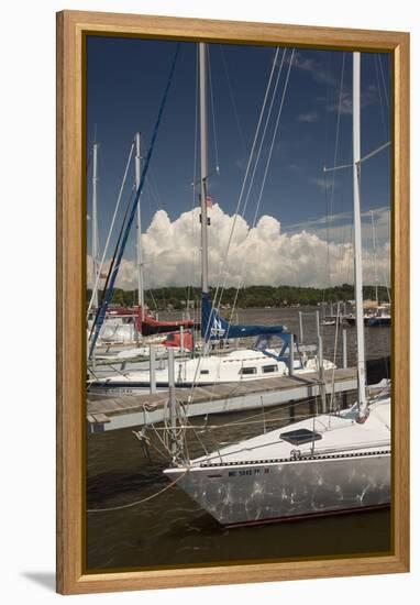 Sauagtuck Marina, Saugatuck, Michigan ‘10-Monte Nagler-Framed Premier Image Canvas