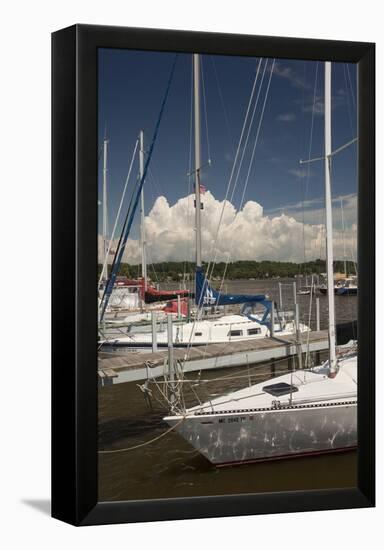 Sauagtuck Marina, Saugatuck, Michigan ‘10-Monte Nagler-Framed Premier Image Canvas