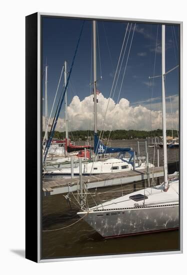 Sauagtuck Marina, Saugatuck, Michigan ‘10-Monte Nagler-Framed Premier Image Canvas