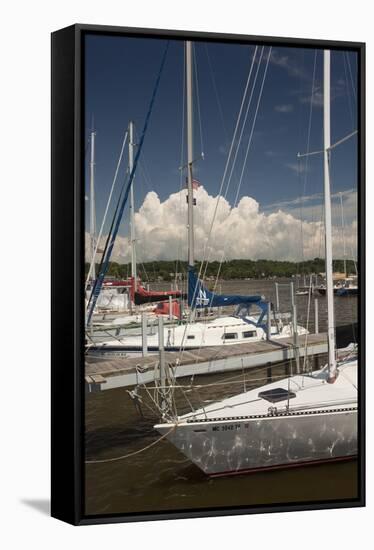 Sauagtuck Marina, Saugatuck, Michigan ‘10-Monte Nagler-Framed Stretched Canvas