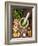 Sauce Pesto and its Ingredients on Rough Wood-Andrii Gorulko-Framed Photographic Print