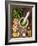 Sauce Pesto and its Ingredients on Rough Wood-Andrii Gorulko-Framed Photographic Print