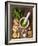 Sauce Pesto and its Ingredients on Rough Wood-Andrii Gorulko-Framed Photographic Print