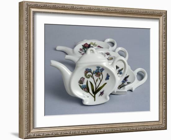 Saucer in the Shape of a Teapot-Susan Williams Ellis-Framed Giclee Print