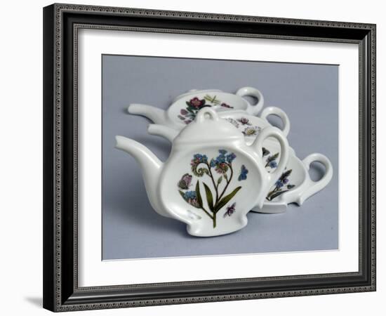 Saucer in the Shape of a Teapot-Susan Williams Ellis-Framed Giclee Print