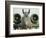 Saudi Arabia Army U.S. Airforce A10 Warthog Tank-Killer Kuwait Crisis-Bob Daugherty-Framed Photographic Print