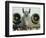 Saudi Arabia Army U.S. Airforce A10 Warthog Tank-Killer Kuwait Crisis-Bob Daugherty-Framed Photographic Print