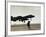 Saudi Arabia Army U.S. Forces A10 Warthog Attack Plane Kuwait Crisis-null-Framed Photographic Print