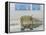 Saudi Arabia Army U.S Forces Mech. Equipment Kuwait Crisis-Diether Endlicher-Framed Premier Image Canvas