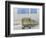 Saudi Arabia Army U.S Forces Mech. Equipment Kuwait Crisis-Diether Endlicher-Framed Photographic Print