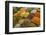 Saudi Arabia, Jeddah, Traditional market in the old part of the town, cereals-Aldo Pavan-Framed Photographic Print