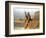 Saudia Arabia Gulf War 1990-Diether Endlicher-Framed Photographic Print