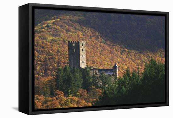 Sauerburg Near Sauerthal in the Autumnal Coloured Beech Forests of the Nature Reserve Rhine Taunus-Uwe Steffens-Framed Premier Image Canvas