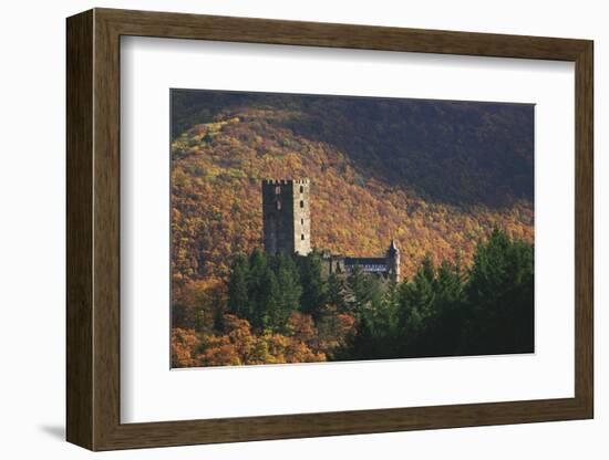 Sauerburg Near Sauerthal in the Autumnal Coloured Beech Forests of the Nature Reserve Rhine Taunus-Uwe Steffens-Framed Photographic Print