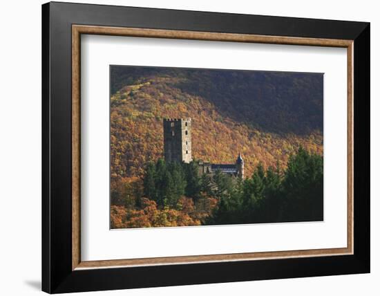 Sauerburg Near Sauerthal in the Autumnal Coloured Beech Forests of the Nature Reserve Rhine Taunus-Uwe Steffens-Framed Photographic Print