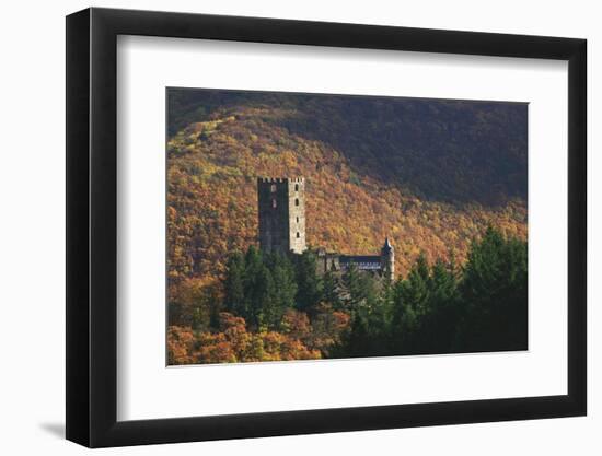 Sauerburg Near Sauerthal in the Autumnal Coloured Beech Forests of the Nature Reserve Rhine Taunus-Uwe Steffens-Framed Photographic Print