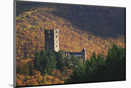 Sauerburg Near Sauerthal in the Autumnal Coloured Beech Forests of the Nature Reserve Rhine Taunus-Uwe Steffens-Mounted Photographic Print