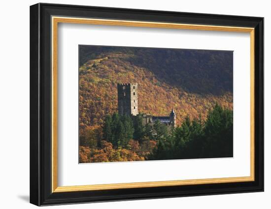Sauerburg Near Sauerthal in the Autumnal Coloured Beech Forests of the Nature Reserve Rhine Taunus-Uwe Steffens-Framed Photographic Print