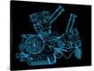 Stretched Canvas Print