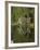 Sauna and Lake Reflections, Lapland, Finland-Doug Pearson-Framed Photographic Print