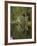 Sauna and Lake Reflections, Lapland, Finland-Doug Pearson-Framed Photographic Print