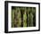 Sauna House at Edge of Forested Lake-Layne Kennedy-Framed Photographic Print