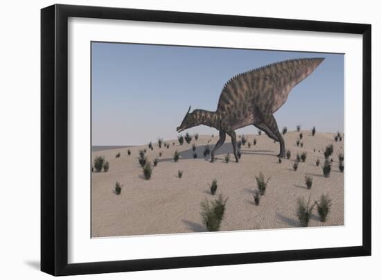 Saurolophus Walking across a Barren Landscape-null-Framed Art Print