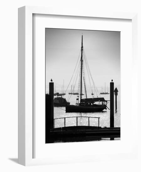 Sausalito Sailboat-John Gusky-Framed Photographic Print