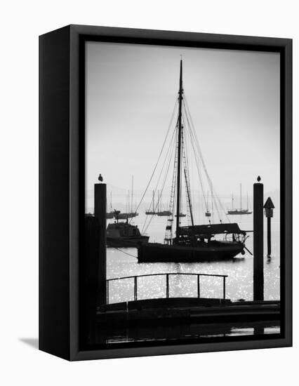 Sausalito Sailboat-John Gusky-Framed Premier Image Canvas