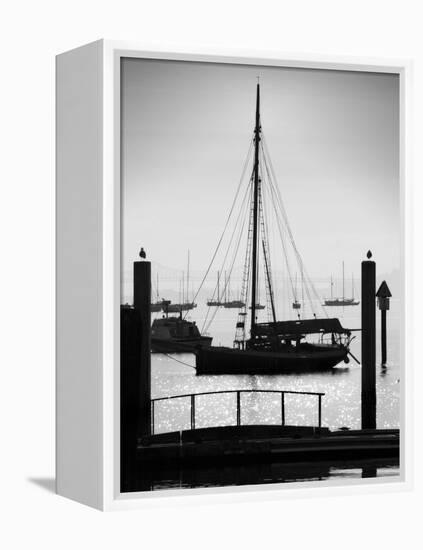 Sausalito Sailboat-John Gusky-Framed Premier Image Canvas