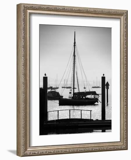 Sausalito Sailboat-John Gusky-Framed Photographic Print