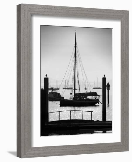 Sausalito Sailboat-John Gusky-Framed Photographic Print