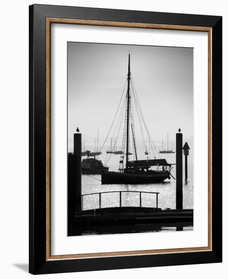 Sausalito Sailboat-John Gusky-Framed Photographic Print