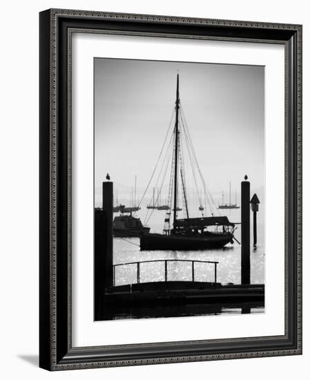 Sausalito Sailboat-John Gusky-Framed Photographic Print