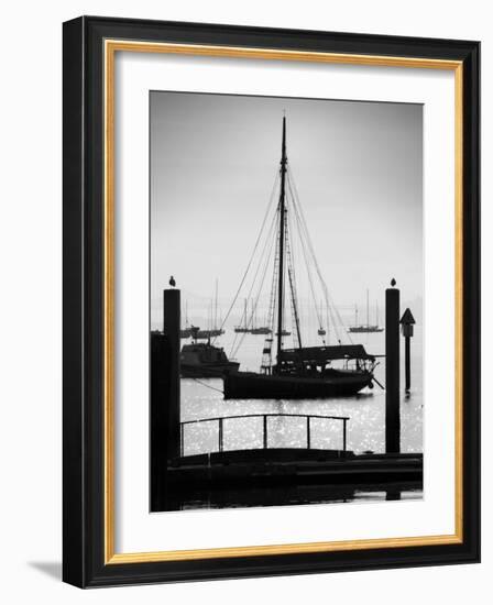 Sausalito Sailboat-John Gusky-Framed Photographic Print